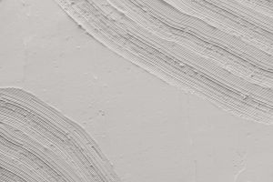 J503 Снежная роза