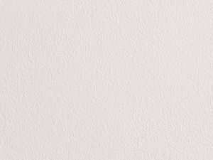 J503 Снежная роза