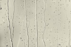 H455 Вечность