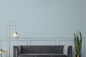 K491 Мистраль