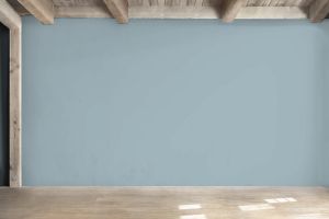 K491 Мистраль