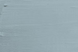 K491 Мистраль