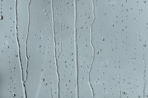 K491 Мистраль