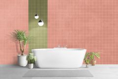 RAL 420-3