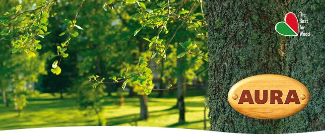 Ґрунтовка для деревини Aura Biogrund Aqua антисептична, 9 л